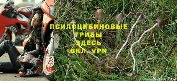a pvp Балабаново