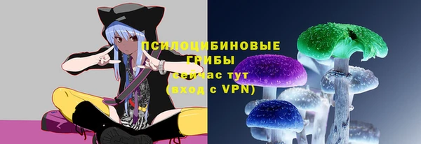 бошки Балахна