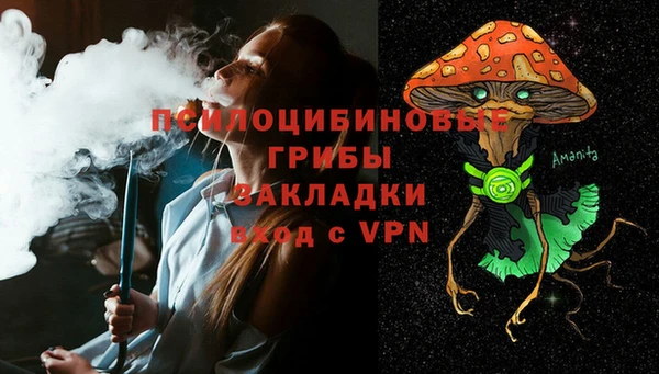 бошки Балахна