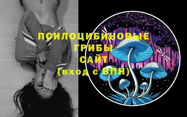 a pvp Балабаново