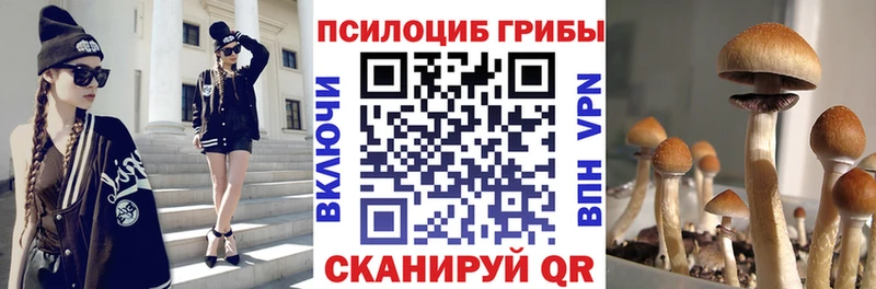 Псилоцибиновые грибы MAGIC MUSHROOMS  где найти   Хвалынск 