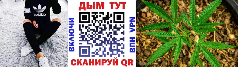 Марихуана план  Хвалынск 